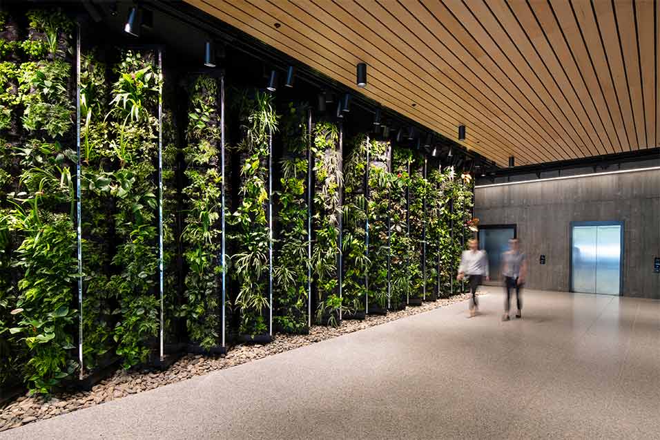 aurecon foyer green wall