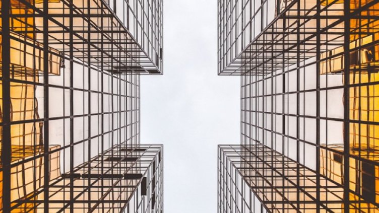article grid img