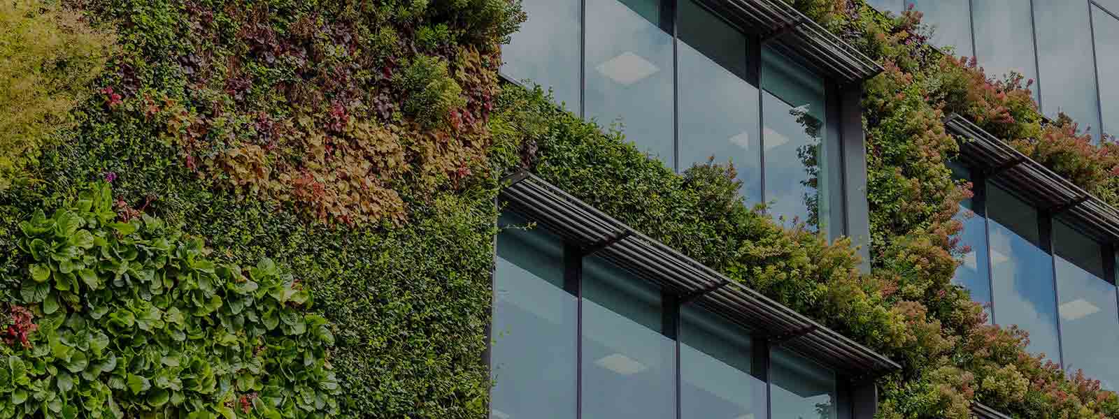 View of building with vertical gardens