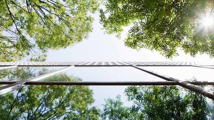 Sustainable building surrounded by trees