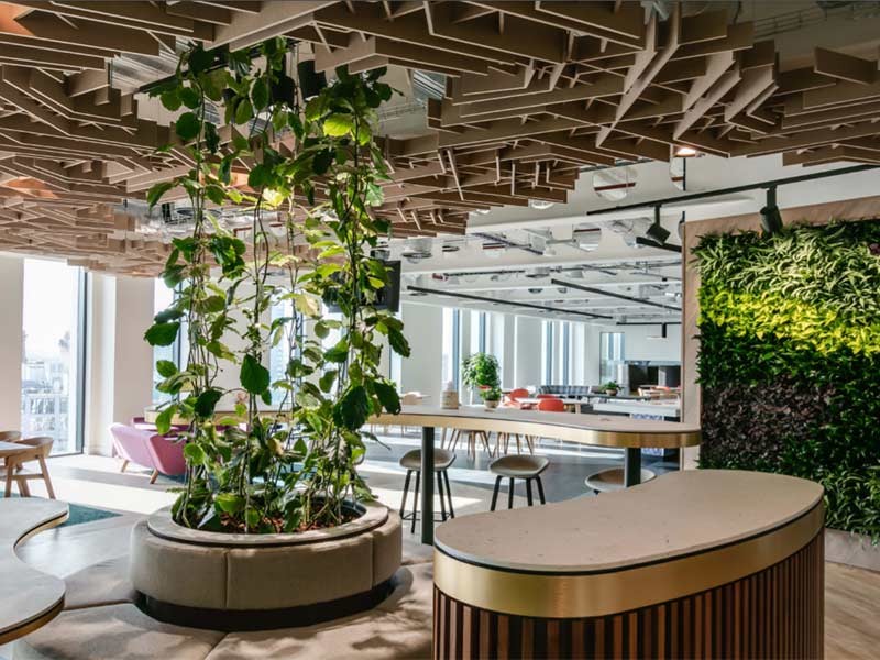 JLL Amsterdam Office